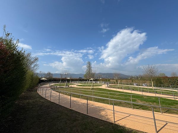 Nuova vita agli spazi esterni della Fondazione Bressan
